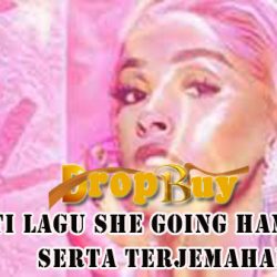Lagu She Going Ham On My
