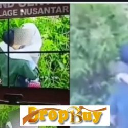 video viral mesum kebun teh kemuning